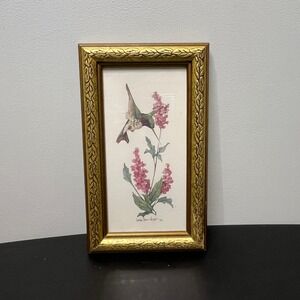 Framed Hummingbird Art Print Carolyn Shores Wright 1992 Gold Ornate Frame